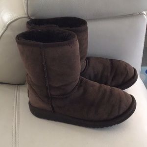 Chestnut short uggs size 6